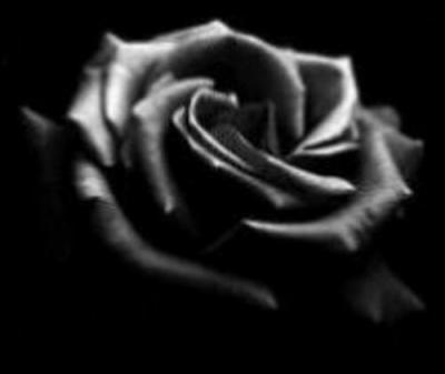 fleure